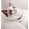 Nuevo Zewind Gato Collar Collar De Gato Con Campana Para Mascotas Gato Con Campana Para Perros Pequeños Collar De Perro Con Campana Blanco