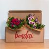 Ramo De 30 Flores Variadas En Caja De Cartón Reciclable - Jarrón  No Incluido