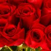 Ramo De 12 Rosas Rojas En Caja De Cartón Reciclable - Jarrón  Incluido