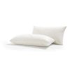 Pack De 2 Almohadas Viscocopos Cashmere 70cm