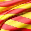 Oedim Bandera De La Comunidad De Catalunya 85x150cm | Reforzada Y Con Pespuntes | Bandera Con 2 Ojales Metálicos Y Resistente Al Agua