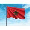 Oedim Bandera De Marruecos 85x150cm | Reforzada Y Con Pespuntes | Bandera Con 2 Ojales Metálicos Y Resistente Al Agua