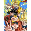 Oedim Alfombrilla De Ratón Ordenador Dragon Ball Z Conjunto De Personajes Producto Oficial Toei Animation Pvc | 18x25cm | Productos Originales | Suelo Vinilico | Decoración Del Hogar | Dragon Ball Z