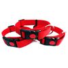 Collar Para Perros Regulable Colores Con Cierre - Color - Rojo, Longitud - 40-55cm