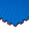 Jowy  1 Pieza (1m² ) Tatami Puzzle Esterilla Goma Espuma | Tatami Suelo Para Gimnasio Ideal Artes Marciales 1m X 1m X 2cm Superficie 5 Lineas Rojo/azul