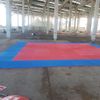 Jowy 3 Piezas (3m² ) Tatami Puzzle Esterilla Goma Espuma | Tatami Suelo Para Gimnasio Ideal Artes Marciales 1m X 1m X 3cm Superficie 5 Líneas Azul/rojo Reversible