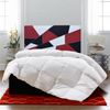 Cabecero De Cama 105, Tapizado En Polipiel Brooklyn Blanco-rojo-negro Para Cama Juvenil/matrimonio, 105x70 Cm