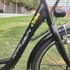 Triciclo Eléctrico Adulto | E-trike | Batería Ion-litio 36v 9,6ah | Fotona Mobility