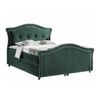 Cama Continental Baltimore 136, Doble, Verde, Tapiz, Somieres, 190x214x130cm