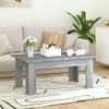 Mesa De Centro De Madera Contrachapada Gris Sonoma 100x60x42 Cm