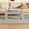 Mesa De Centro Madera Contrachapada Gris Sonoma 102x55x45 Cm