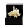 Quartz Y Siderite - Pierre Natural De Francia, Vizille - Rock And Mineral Crystal Raro, 89.6 Ct - Certificado De Autenticidad Incluido | 40 X 35 X 31 Mm