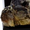 Siderita, Cuarzo, Pirita - Pierre Natural De Francia, Saint -pierre -de -méage - Magnífico Espécimen De Sideritis, Cuarzo Y Pirita, 578.8 Ct - Certificado De Autenticidad Incluido | 70 X 60 X 40 Mm