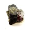 Turmaline Elbaite - Natural Pierre De Brasil, São José Da Safira - Piedra Multicolor Rara Y Única | 50.08 Ct - Certificado De Autenticidad Incluido | 32 X 18 X 13 Mm