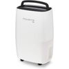 Deshumidificador Rowenta Dh4236 Intense Dry 16l