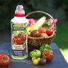 Fertilizante Líquido Tomates 1 L Algoflash Naturasol