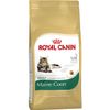 Royal Canin Maine Coon Adulto 10 Kg