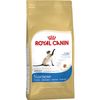 Royal Canin Siamese 2 Kg