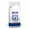 Royal Canin Vet Care Nutrition Neutered Young Male - Saco De 1,5 Kg