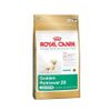 Pienso Royal Canin Golden Retriever Junior Cachorros (hasta Los 15 Meses) - 12kg