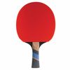 Pala Ping Pong Cornilleau Sport 1000 Excell Carbon 411000