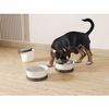 Contenedor De Alimentos De Mascotas Juego De Recipientes De Viaje 1.5l Travel Set Perros Gatos