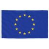 Mástil Y Bandera De Europa Aluminio 5,55 M