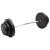 Mancuerna Curl Con Discos 60 Kg