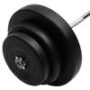 Mancuerna Curl Con Discos 60 Kg