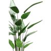 Planta Heliconia Artificial 125 Cm Verde 419837