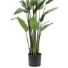 Planta Heliconia Artificial 125 Cm Verde 419837