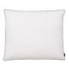 Almohadas 2 Uds Relleno Plumón/plumas 70x60 Cm Blanco