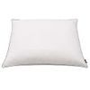 Almohadas 2 Uds Relleno Plumón/plumas 70x60 Cm Blanco