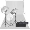 Kit De Estudio Fotográfico Con Set De Luces Y Fondo