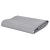 Lona 650 G/m² 1,5x6 M Gris