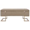 Banco Con Compartimento 105 Cm Beige De Terciopelo