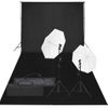 Kit De Estudio Fotográfico Con Set De Luces Y Fondo