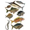 Beach Sticker Deco - Regreso De Pesca / 1 Plato 48 X 68 Cm