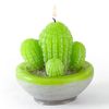 Molde De Vela De Látex - Cactus