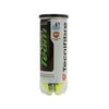 Bote 3 Pelotas Tecnifibre Padel Team