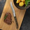 Set 6 Cuchillos Steaks Acero Inoxidable Volcano 23x2,4x1,5cm