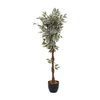 Planta Ficus Artificial Artifices H120 Cm