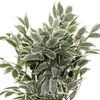 Planta Ficus Artificial Artifices H120 Cm