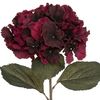 Hortensia De Tallo Rubí H 83 Atmosphera