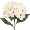 Tallo De Hortensia Rosa H 83 Atmosphera