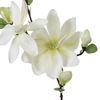 Tallo Magnolia Blanco H83 Atmosphera