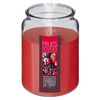 Vela Perfumada De Frutos Rojos  510g D. 10 X H. 14,5 Cm