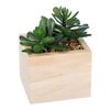 Chic Planta De Pvc/abeto/poliestireno Atmosphera 11 X 15 Cm Verde/arena