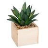 Chic Planta De Pvc/abeto/poliestireno Atmosphera 11 X 15 Cm Verde/arena