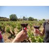 Caja Regalo Gastronomía - Visita A Celler Carles Andreu Con Cata Comentada De Vinos Y Cavas Y Botellas De Regalo
